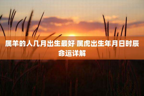 属羊的人几月出生最好 属虎出生年月日时辰命运详解