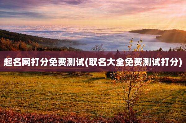 起名网打分免费测试(取名大全免费测试打分)