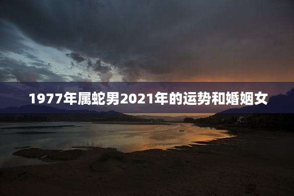 1977年属蛇男2021年的运势和婚姻女