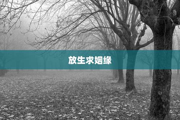 放生求姻缘