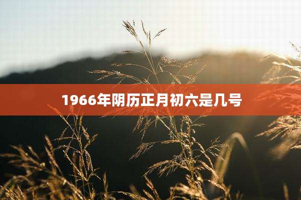 1966年阴历正月初六是几号