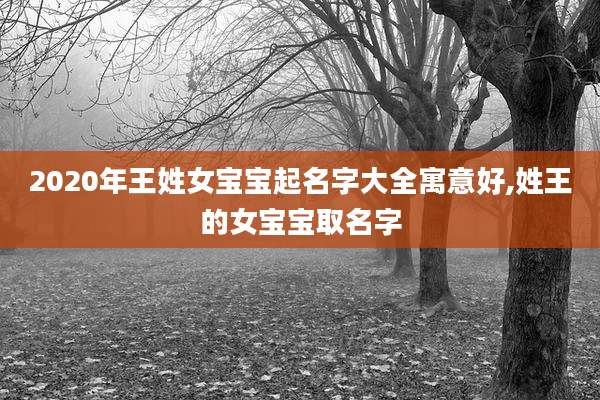 2020年王姓女宝宝起名字大全寓意好,姓王的女宝宝取名字