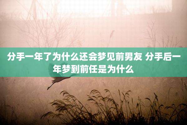 分手一年了为什么还会梦见前男友 分手后一年梦到前任是为什么