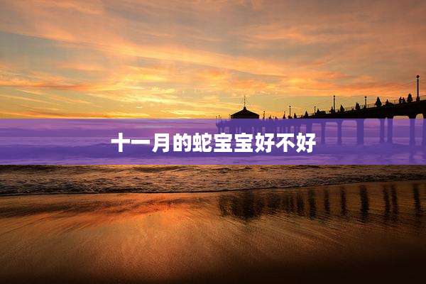 十一月的蛇宝宝好不好