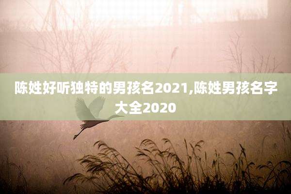 陈姓好听独特的男孩名2021,陈姓男孩名字大全2020