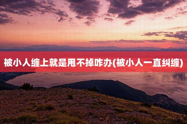 被小人缠上就是甩不掉咋办(被小人一直纠缠)