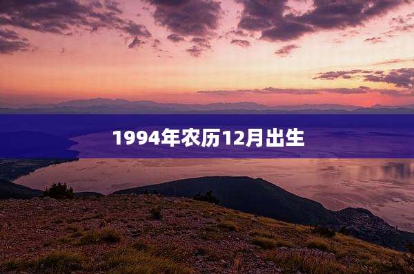 1994年农历12月出生
