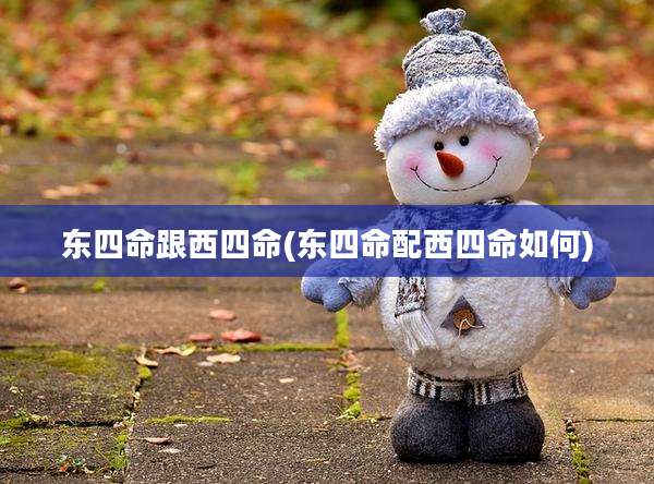 东四命跟西四命(东四命配西四命如何)