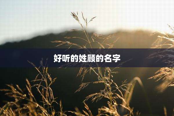 好听的姓顾的名字