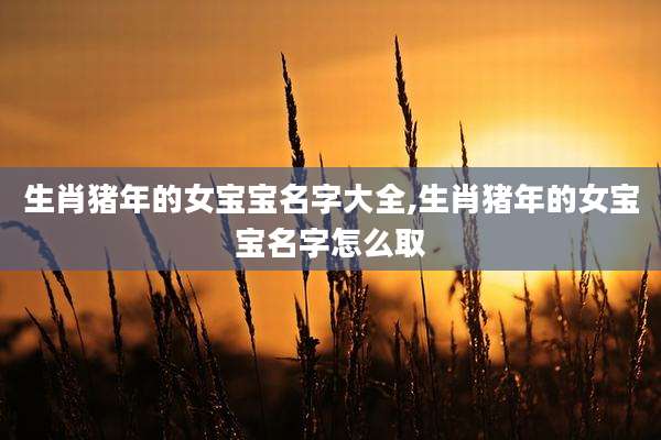 生肖猪年的女宝宝名字大全,生肖猪年的女宝宝名字怎么取