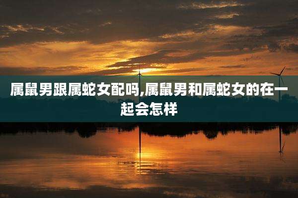 属鼠男跟属蛇女配吗,属鼠男和属蛇女的在一起会怎样