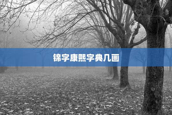 锦字康熙字典几画
