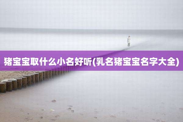 猪宝宝取什么小名好听(乳名猪宝宝名字大全)