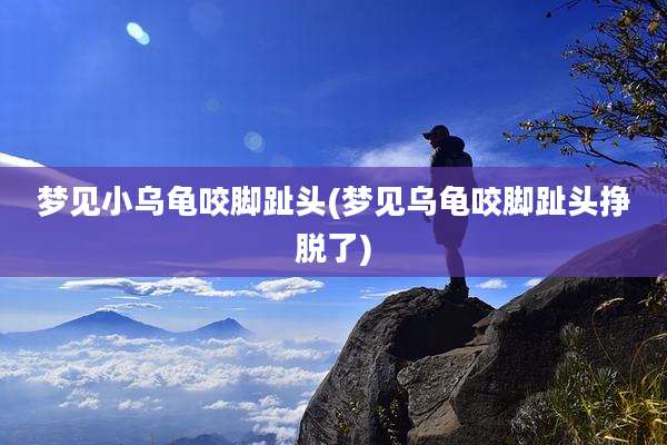 梦见小乌龟咬脚趾头(梦见乌龟咬脚趾头挣脱了)