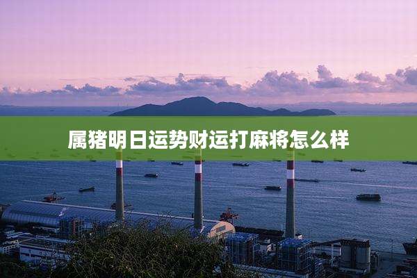 属猪明日运势财运打麻将怎么样