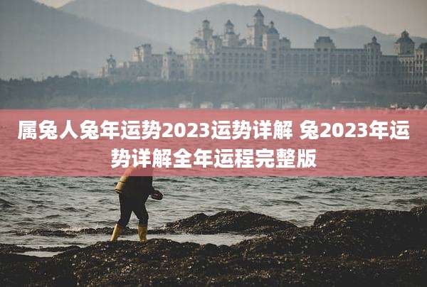 属兔人兔年运势2023运势详解 兔2023年运势详解全年运程完整版