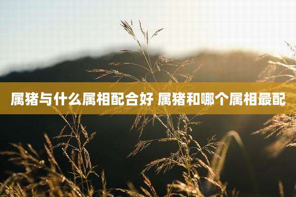 属猪与什么属相配合好 属猪和哪个属相最配