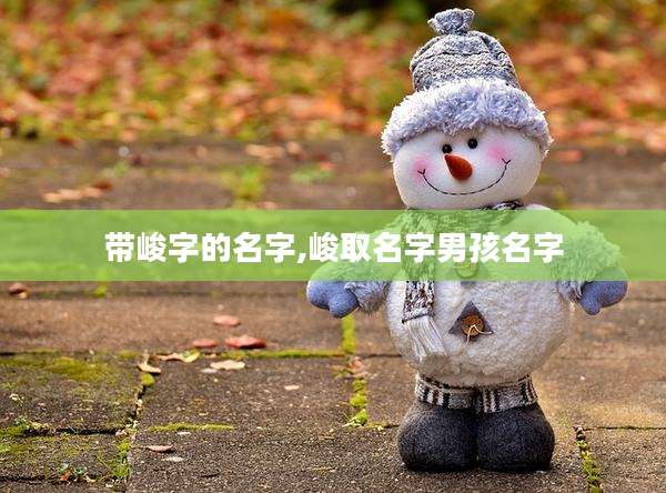 带峻字的名字,峻取名字男孩名字