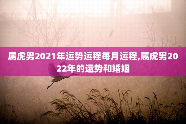 属虎男2021年运势运程每月运程,属虎男2022年的运势和婚姻