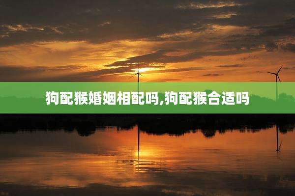 狗配猴婚姻相配吗,狗配猴合适吗