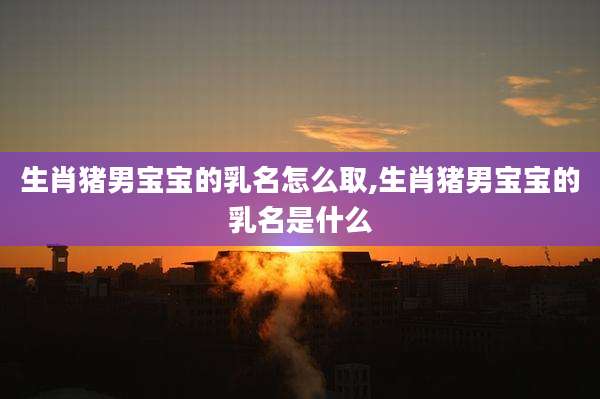 生肖猪男宝宝的乳名怎么取,生肖猪男宝宝的乳名是什么