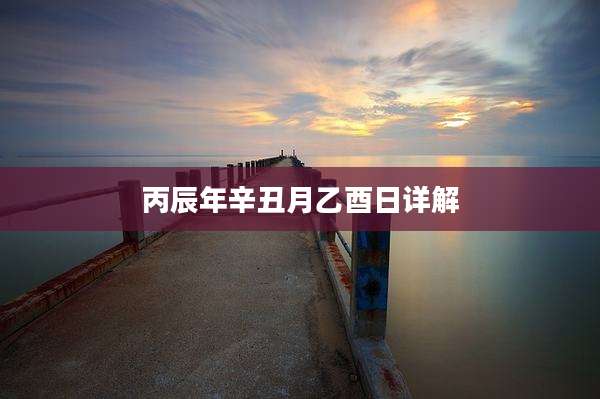 丙辰年辛丑月乙酉日详解