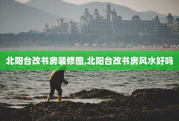 北阳台改书房装修图,北阳台改书房风水好吗