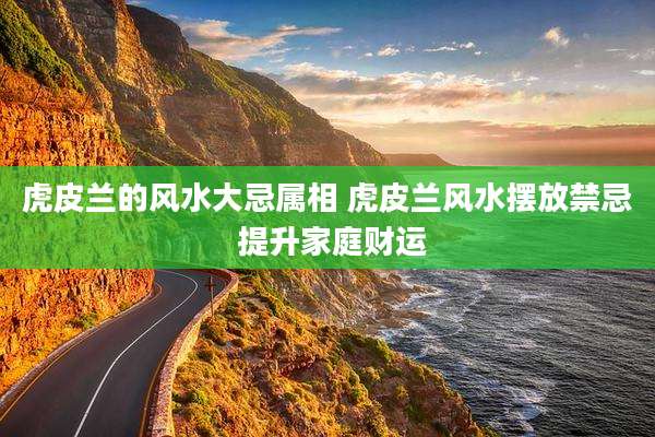虎皮兰的风水大忌属相 虎皮兰风水摆放禁忌 提升家庭财运