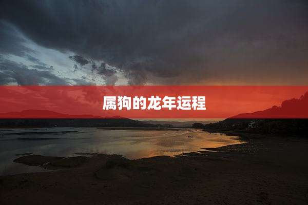 属狗的龙年运程