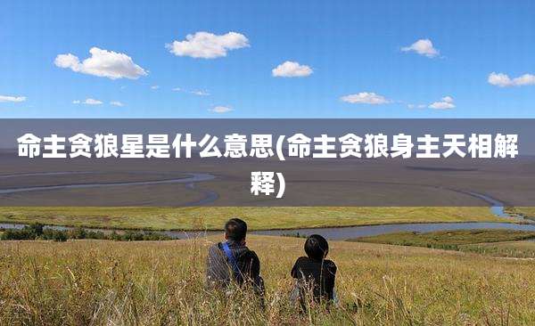 命主贪狼星是什么意思(命主贪狼身主天相解释)