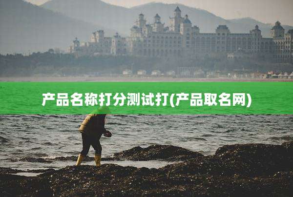 产品名称打分测试打(产品取名网)