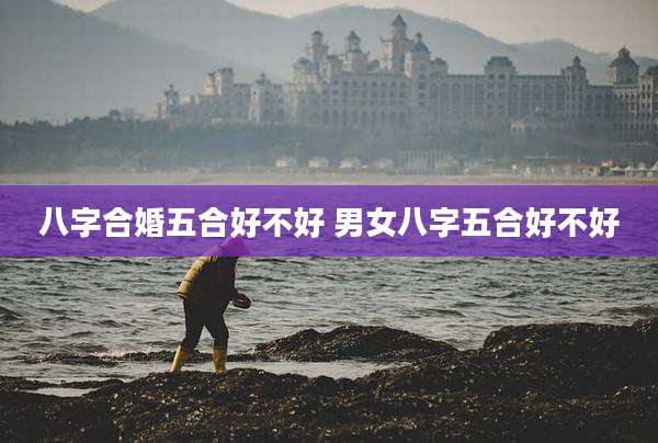 八字合婚五合好不好 男女八字五合好不好