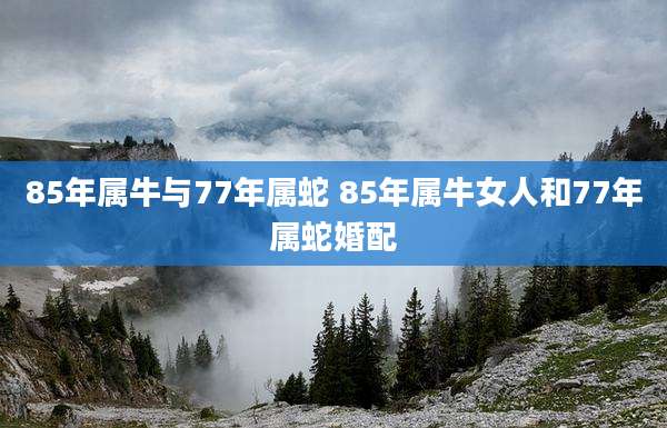 85年属牛与77年属蛇 85年属牛女人和77年属蛇婚配