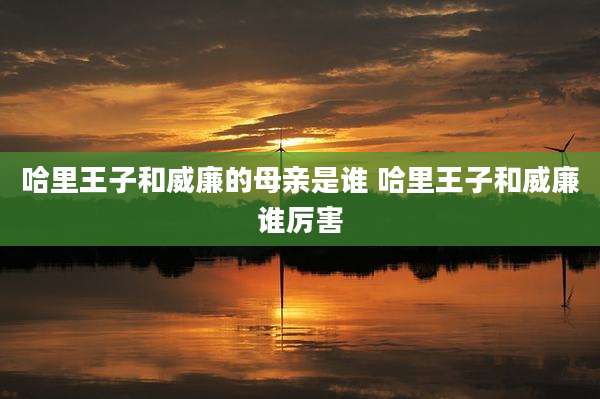 哈里王子和威廉的母亲是谁 哈里王子和威廉谁厉害