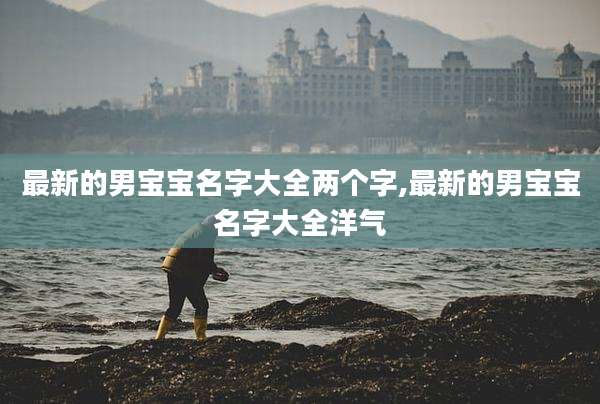 最新的男宝宝名字大全两个字,最新的男宝宝名字大全洋气