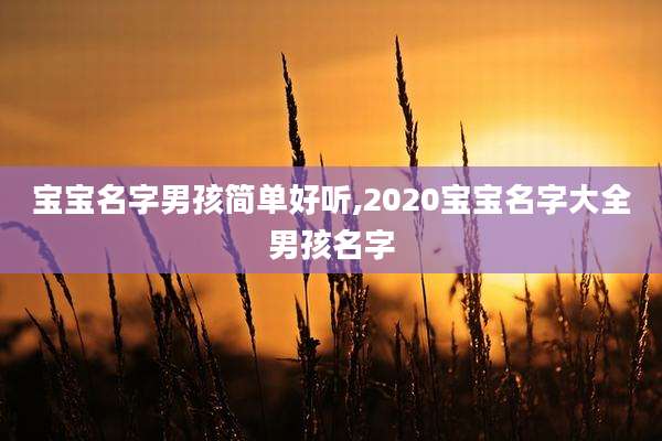宝宝名字男孩简单好听,2020宝宝名字大全男孩名字