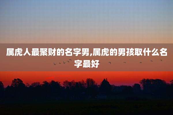 属虎人最聚财的名字男,属虎的男孩取什么名字最好
