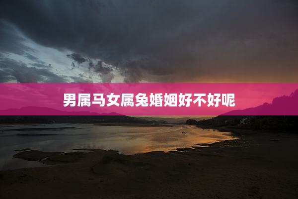 男属马女属兔婚姻好不好呢