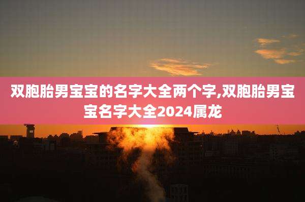 双胞胎男宝宝的名字大全两个字,双胞胎男宝宝名字大全2024属龙