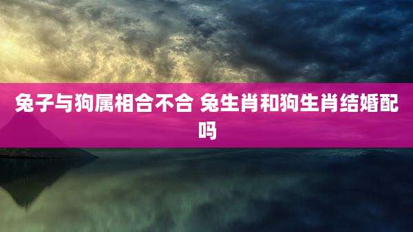兔子与狗属相合不合 兔生肖和狗生肖结婚配吗