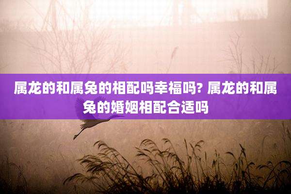 属龙的和属兔的相配吗幸福吗? 属龙的和属兔的婚姻相配合适吗