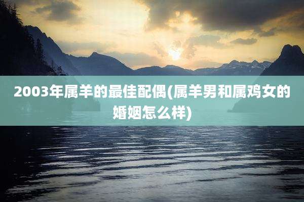 2003年属羊的最佳配偶(属羊男和属鸡女的婚姻怎么样)