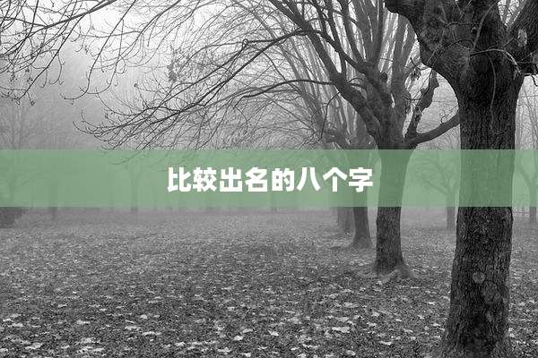 比较出名的八个字