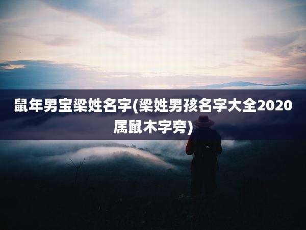鼠年男宝梁姓名字(梁姓男孩名字大全2020属鼠木字旁)