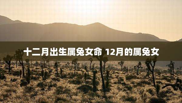 十二月出生属兔女命 12月的属兔女