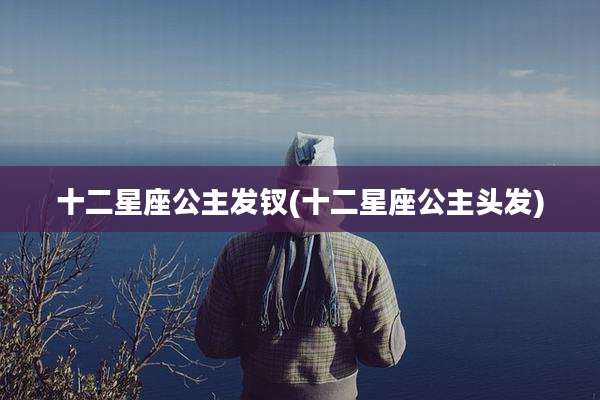 十二星座公主发钗(十二星座公主头发)