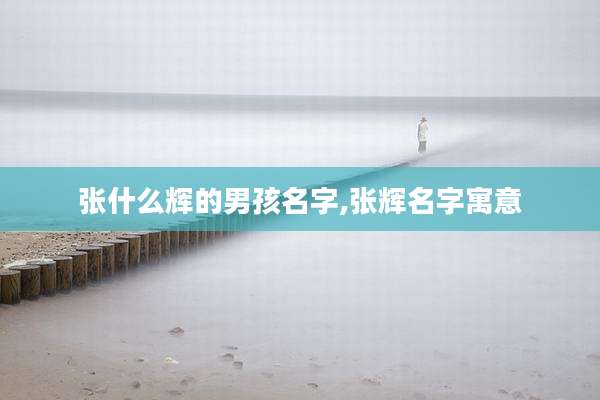 张什么辉的男孩名字,张辉名字寓意