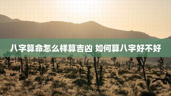 八字算命怎么样算吉凶 如何算八字好不好