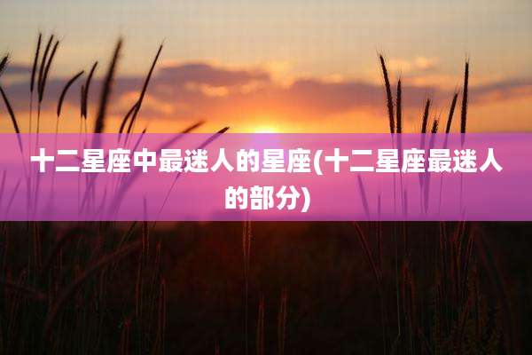 十二星座中最迷人的星座(十二星座最迷人的部分)