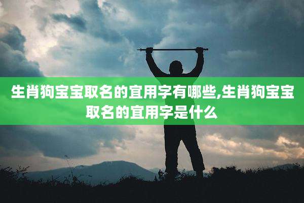 生肖狗宝宝取名的宜用字有哪些,生肖狗宝宝取名的宜用字是什么
